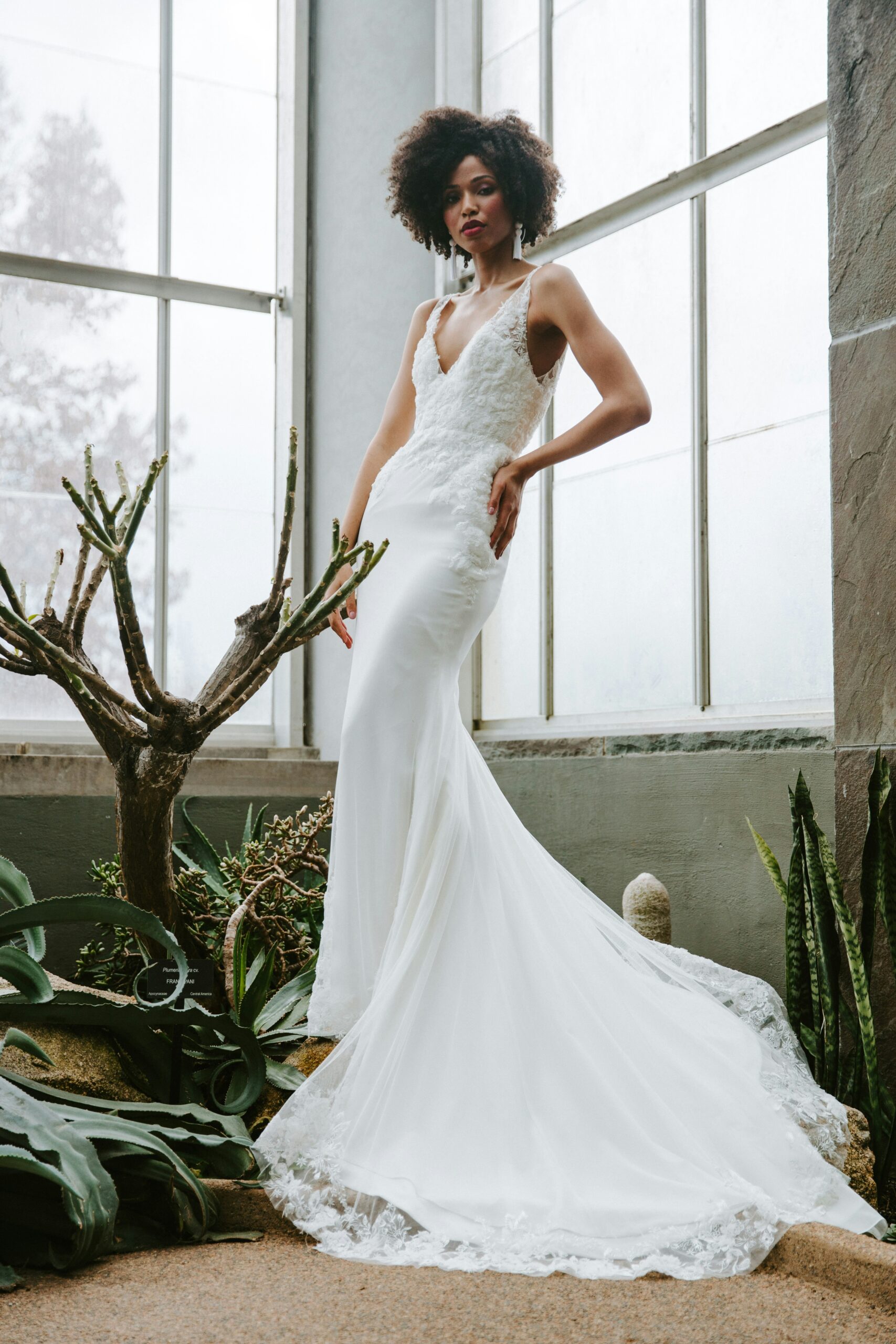 Sustainable Fashion Collection